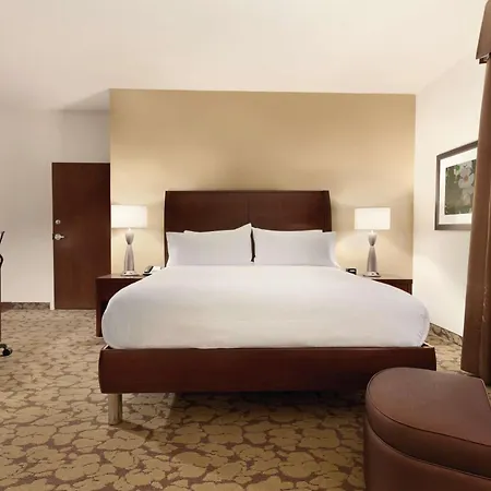 Hilton Garden Inn Rochester Downtown, Ny
